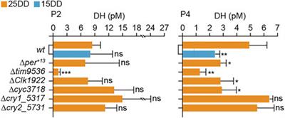 Circadian Clock Genes Regulate Temperature-Dependent Diapause Induction in Silkworm Bombyx mori